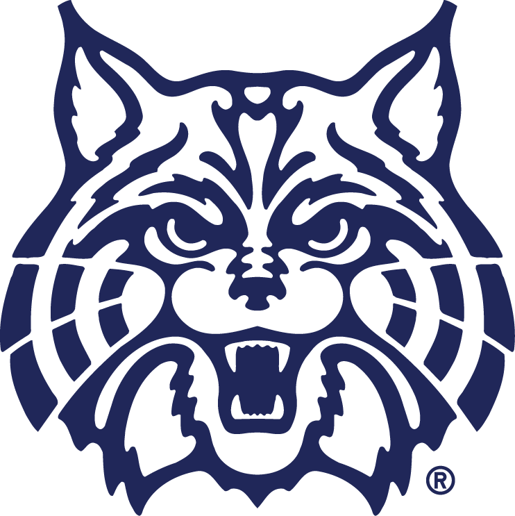 Arizona Wildcats 1990-Pres Secondary Logo vinyl decal